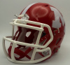 Marist Redhawks HS 2012-2020 (IL)